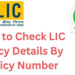 How to Check LIC Policy Details By Policy Number