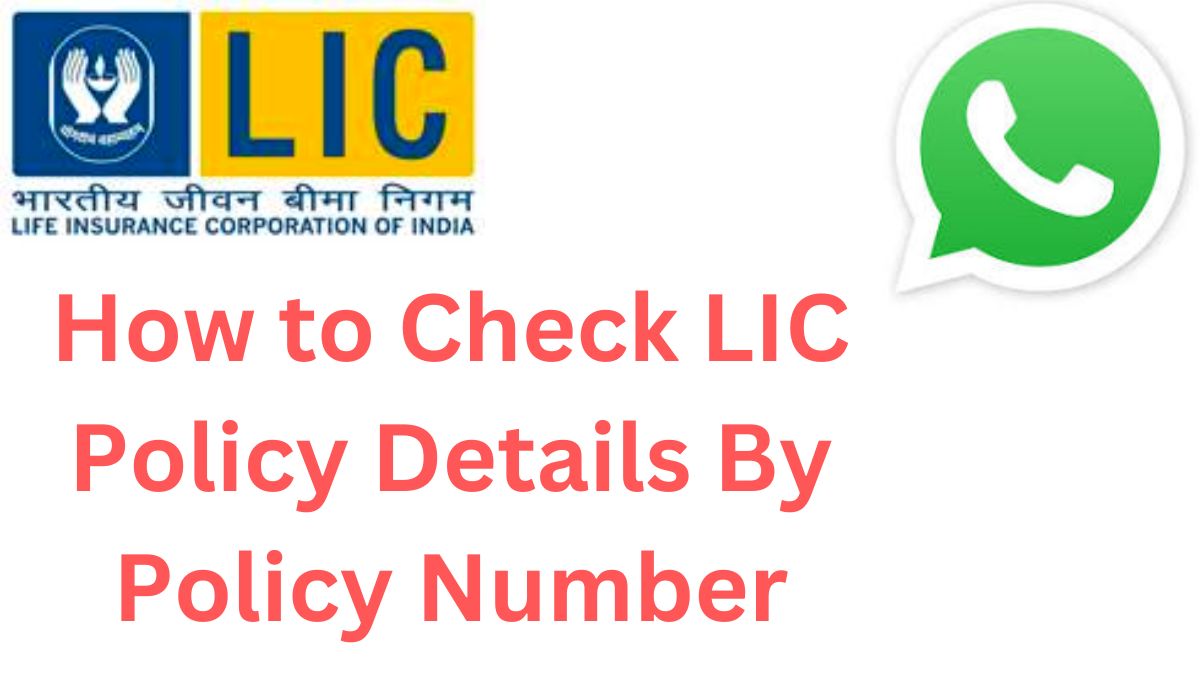 How to Check LIC Policy Details By Policy Number - NFC LIC