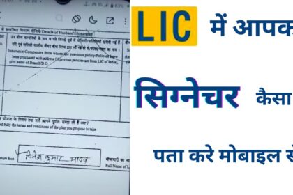 How to Check LIC Signature