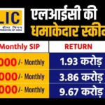 Best LIC For Long Term