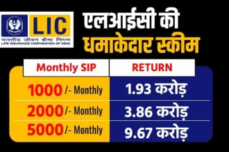 Best LIC For Long Term