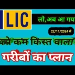 LIC Micro Bachat Plan 751