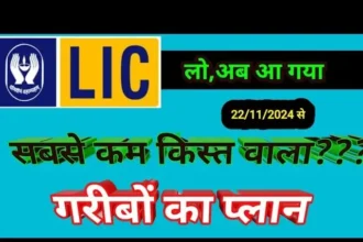 LIC Micro Bachat Plan 751