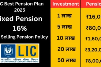 LIC Jeevan Dhara 2