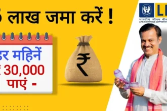 LIC Best SWP