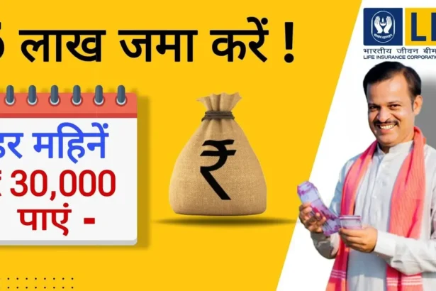 LIC Best SWP